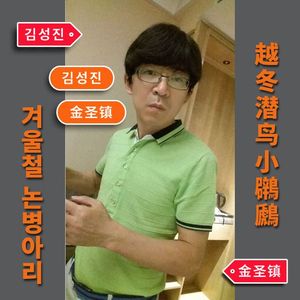 越冬潜鸟小鸊鷉【排笛】