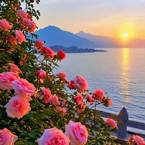 【FREE】''Sun DAY'' Folk type Beat