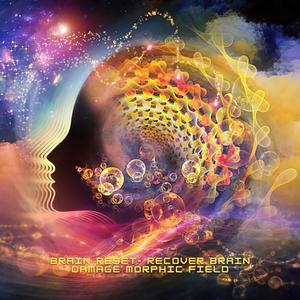Brain reset recover brain damage morphic field