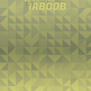 Newsflash Bantamweight