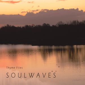 Soulwaves