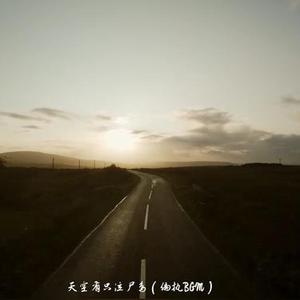 天空有只泣尸鸟