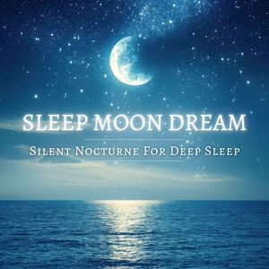 灵魂海岸 (528赫兹: 治愈DNA、修复细胞) (雨声)