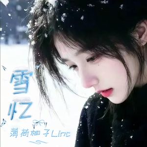 雪忆