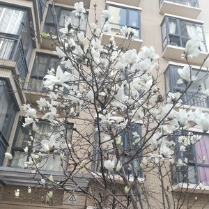 WAV文件_空酒瓶与旧吉他_91074120098746373_1769667363425.wav