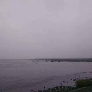 暴雨2.0 Prod.by red killer