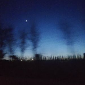 Lost in Forest. (ft. Lil Royce/Xenth)