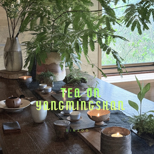 Tea on Yangmingshan