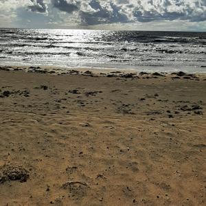 Dagarna som går (AI musik sång Remix)