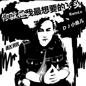 你就是我最想要的丫头 (DJ小鱼儿ExtendedMix)