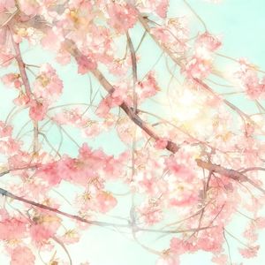 Love for you is not just talk