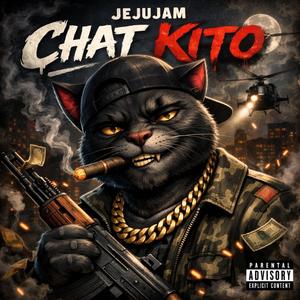 Chat kito