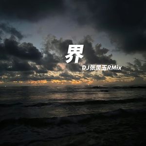 袁娅维-界 DJ张灵玉RMix