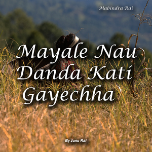 Mayale Nau Danda Kati Gayechha