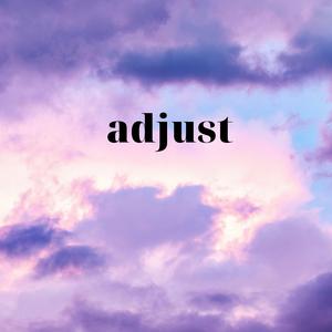 Adjust