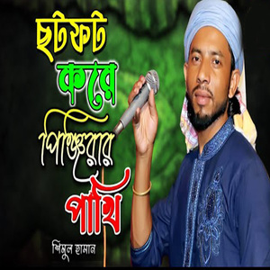 ছটফট করে পিঞ্জিরার পাখি