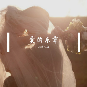 爱的乐章