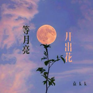 等月亮开出花