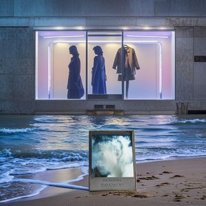 这份爱会消失会转移对么