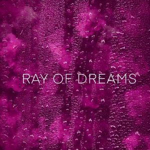 Forest Rain Atmosphere