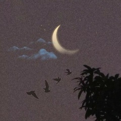 In The End (吉他独奏)