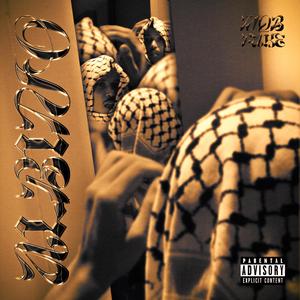 ALBINO (feat. NAB FAKE)