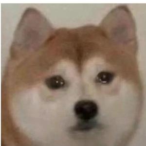 【FREE】陷阱钢琴