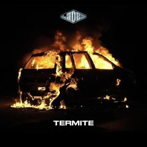 TERMITE