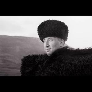 你不是梦幻(伽姆扎托夫，谷羽译)