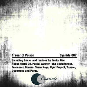 She's Wasted (Pascal Augner Remix)