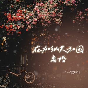 在加纳共和国离婚（翻唱版）