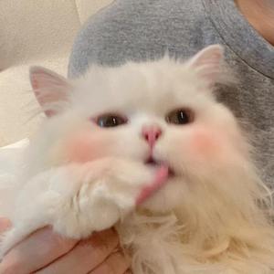 是什么让我遇见这样的你