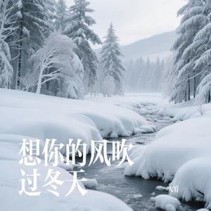 想你的风吹过冬天