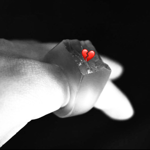 心，逃，亡（Cover by Capper)