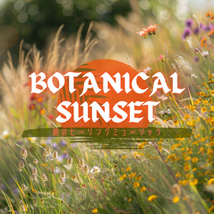 Wake Up Rise and Shine