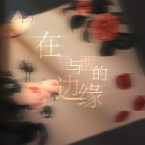 在梦与醒的边缘