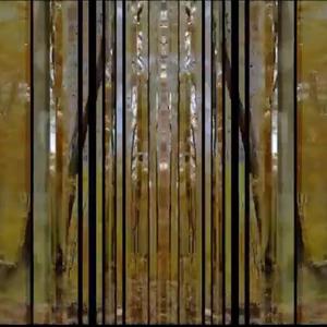 goose stepping on egg shells