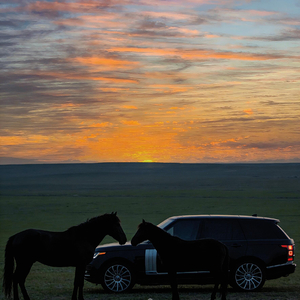 sanzi hayat没有你的人生Life without you