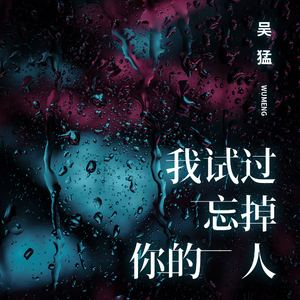 我试过忘掉你的人 (伴奏)