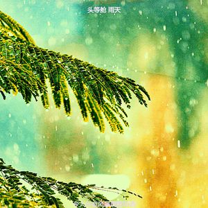 一尘不染心情印象数