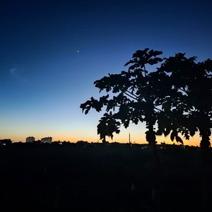 《回不到从前》