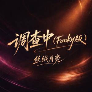 调查中(Funky版)