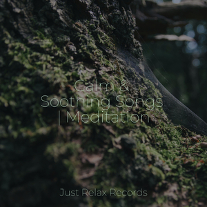 Lost Voices in Silence