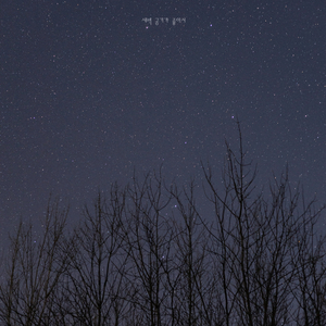 새벽 공기가 좋아서