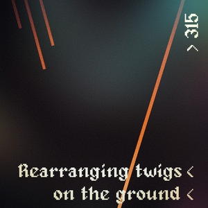 Rearranging Twigs on the Ground