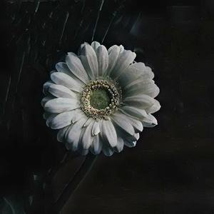 Acknowledging