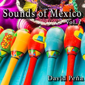 Tierra Linda (Mariachi)