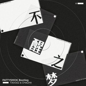 T3GOIZZ-不醒之梦(PATTYSMOK remix）