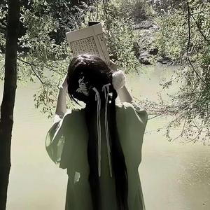 王招君