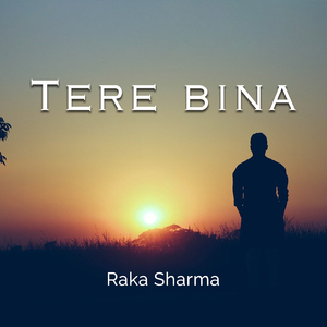 Tere Bina